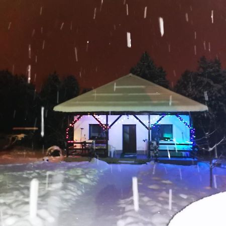 באיה מארה Limpedea Green House מראה חיצוני תמונה