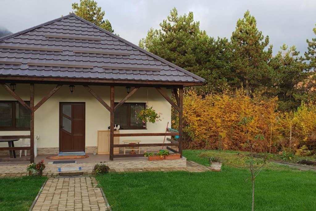 באיה מארה Limpedea Green House מראה חיצוני תמונה