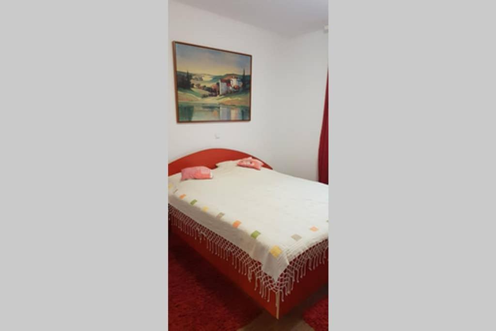 באיה מארה Limpedea Green House מראה חיצוני תמונה
