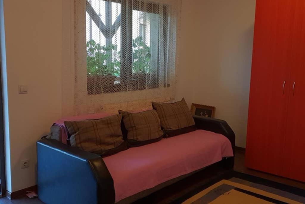 באיה מארה Limpedea Green House מראה חיצוני תמונה