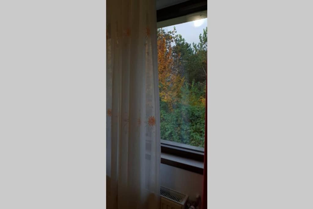 באיה מארה Limpedea Green House מראה חיצוני תמונה