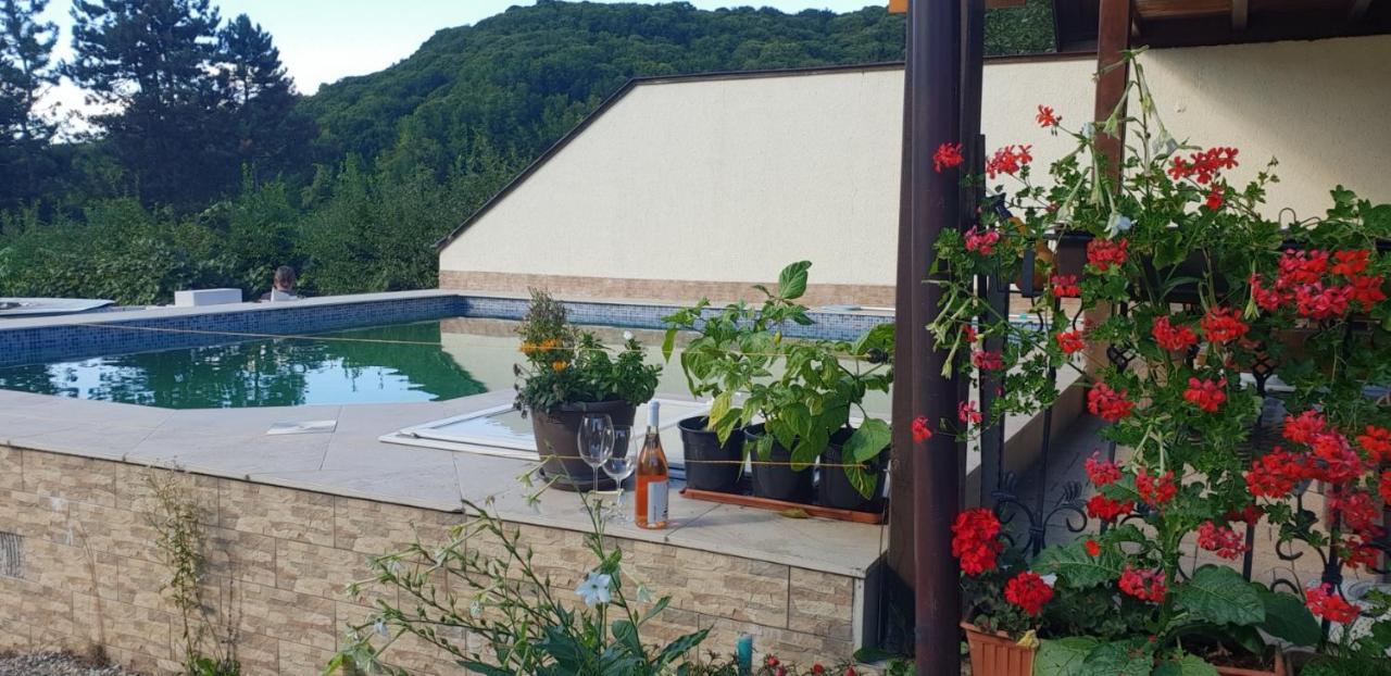 באיה מארה Limpedea Green House מראה חיצוני תמונה