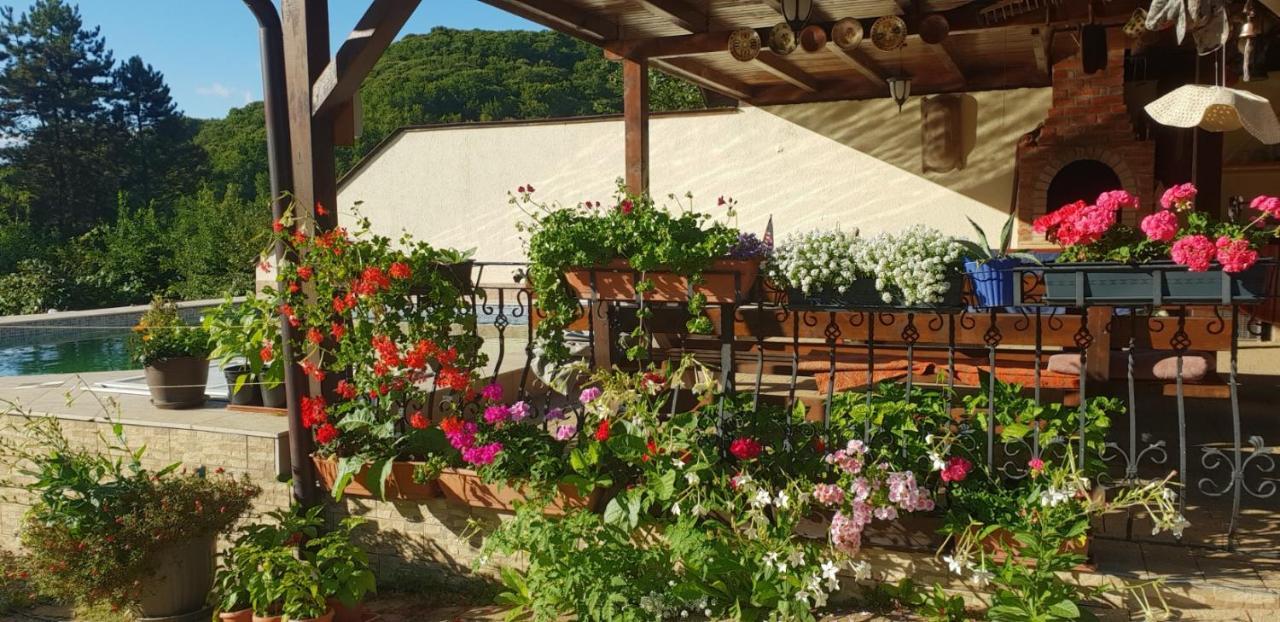 באיה מארה Limpedea Green House מראה חיצוני תמונה